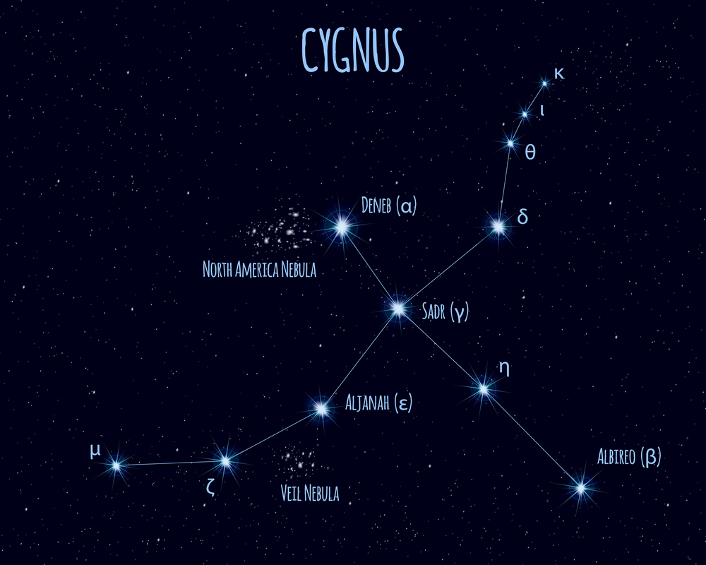 cygnus constellation